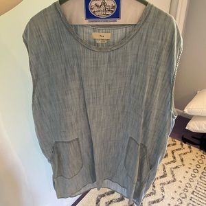 Aritzia denim dress